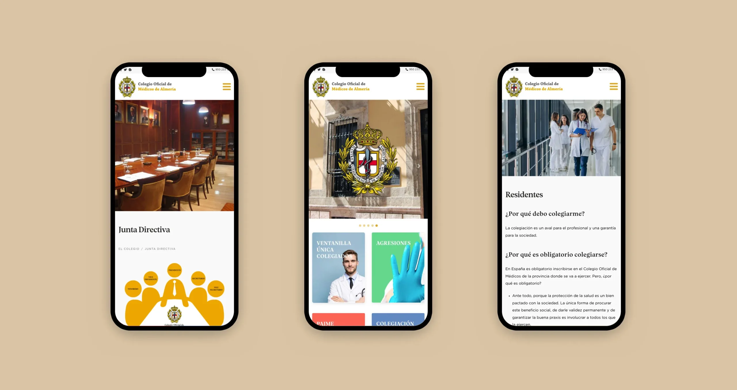 Diseño web institucional para el Colegio de Médicos de Almería, proyecto realizado desde Almería y Santiago de Chile
